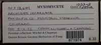 Image Associated With the Occurence